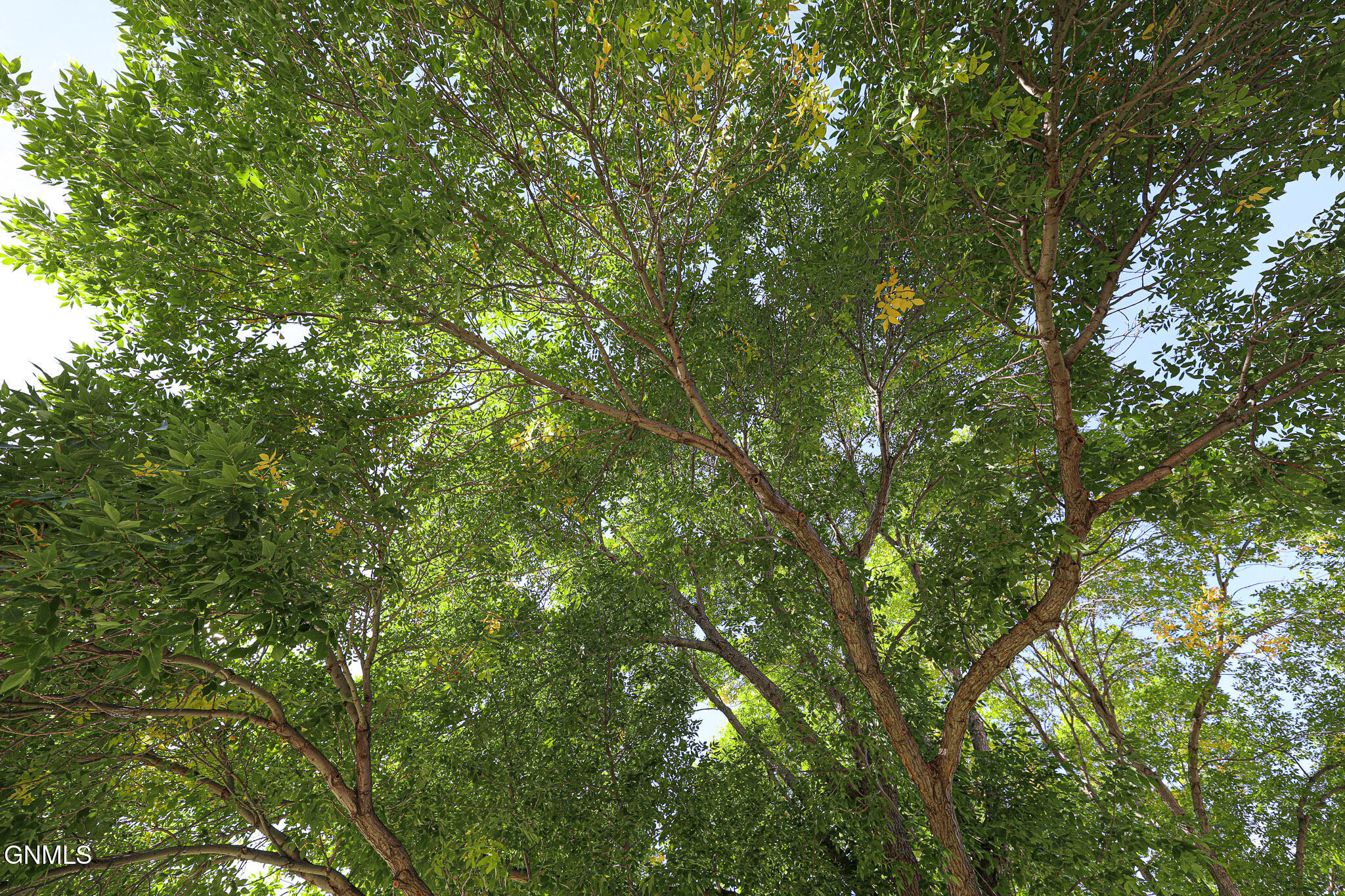 main property photo 57