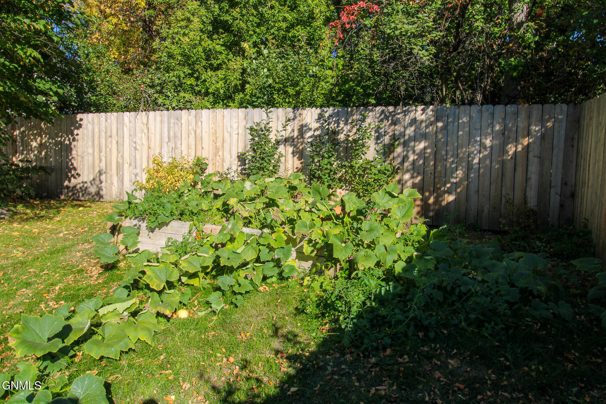 main property photo 55