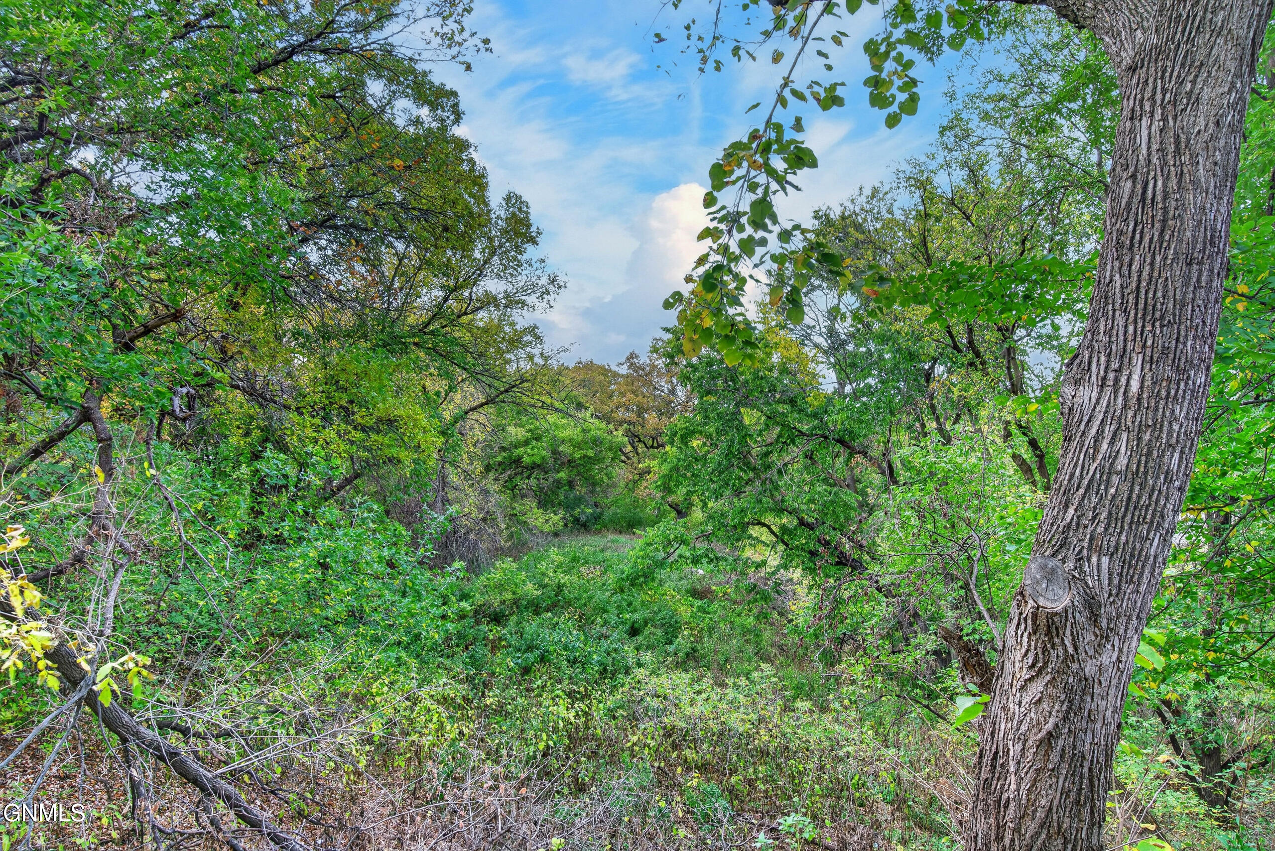 main property photo 20