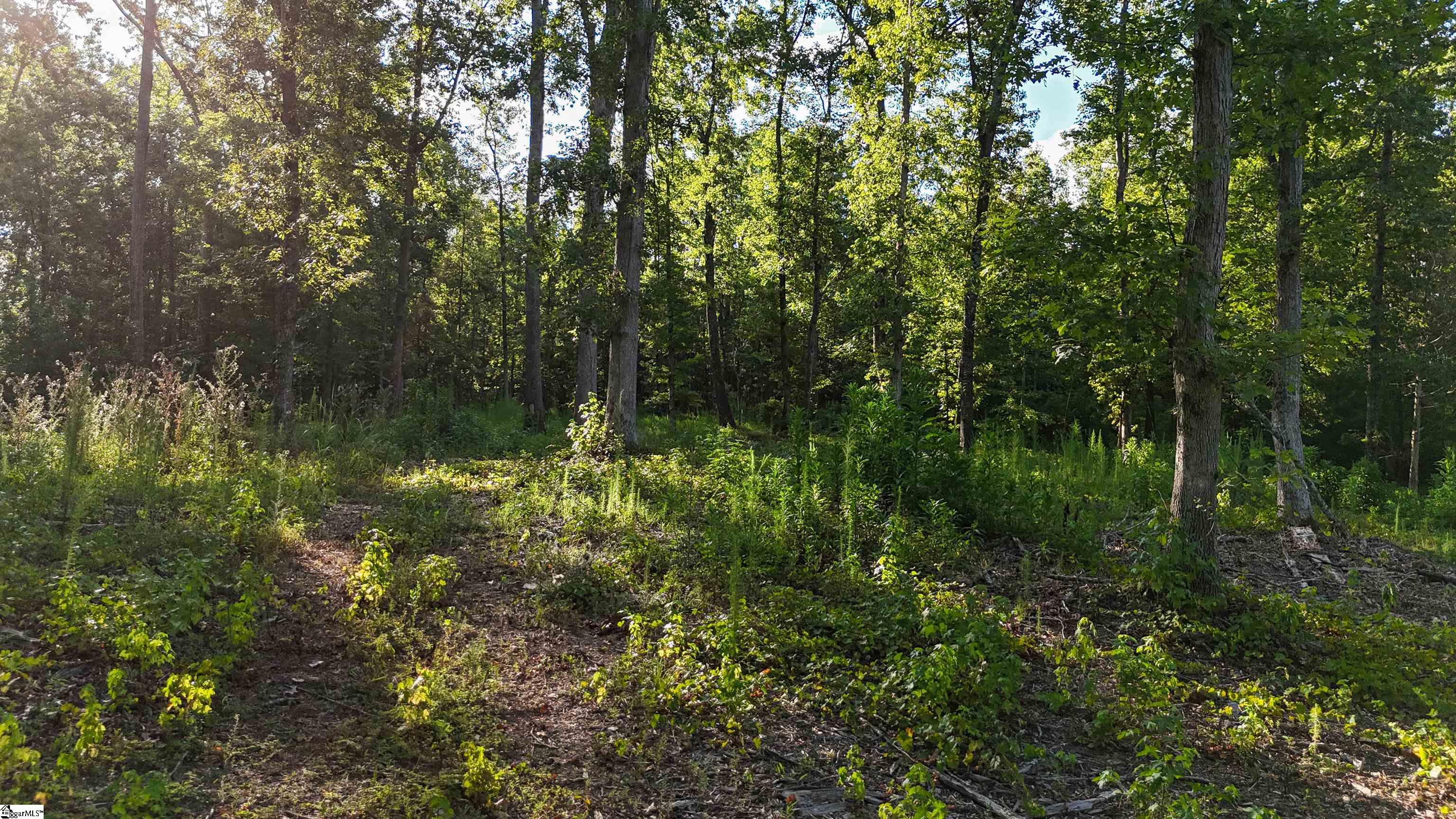 property viewer photo 11
