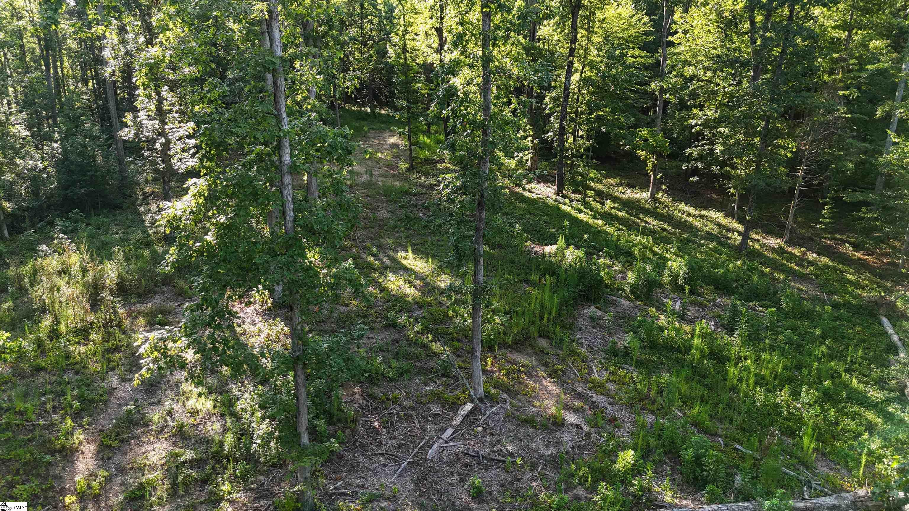 property viewer photo 12