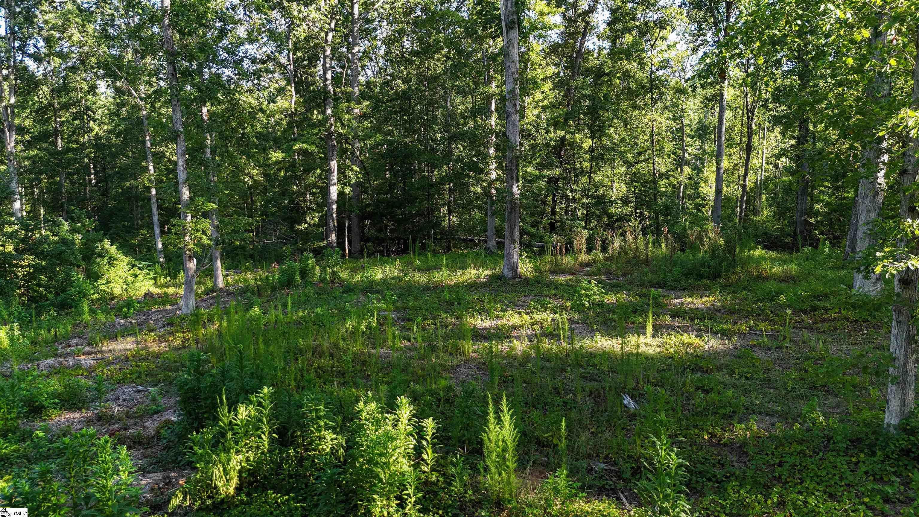 property viewer photo 14