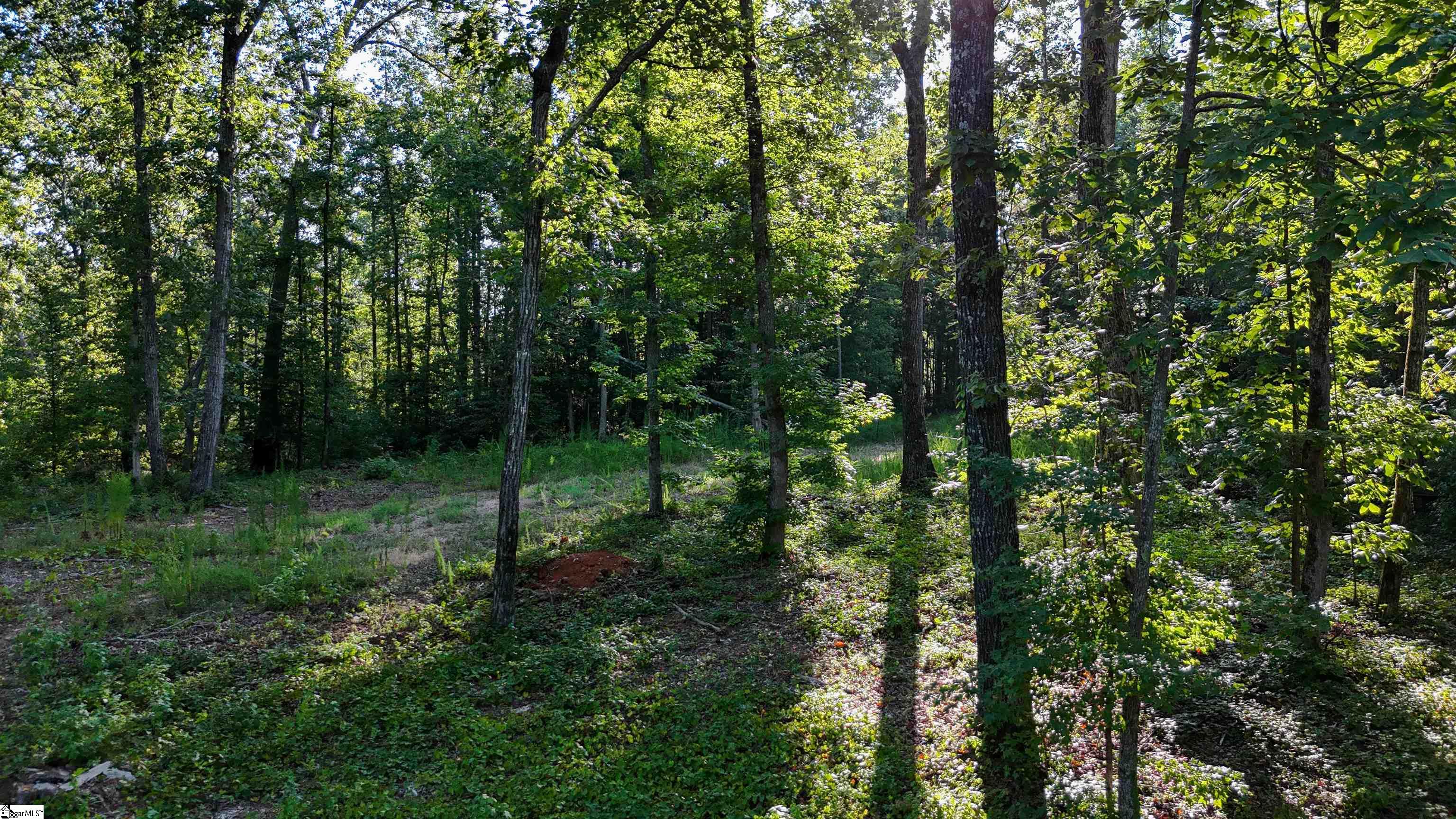property viewer photo 15