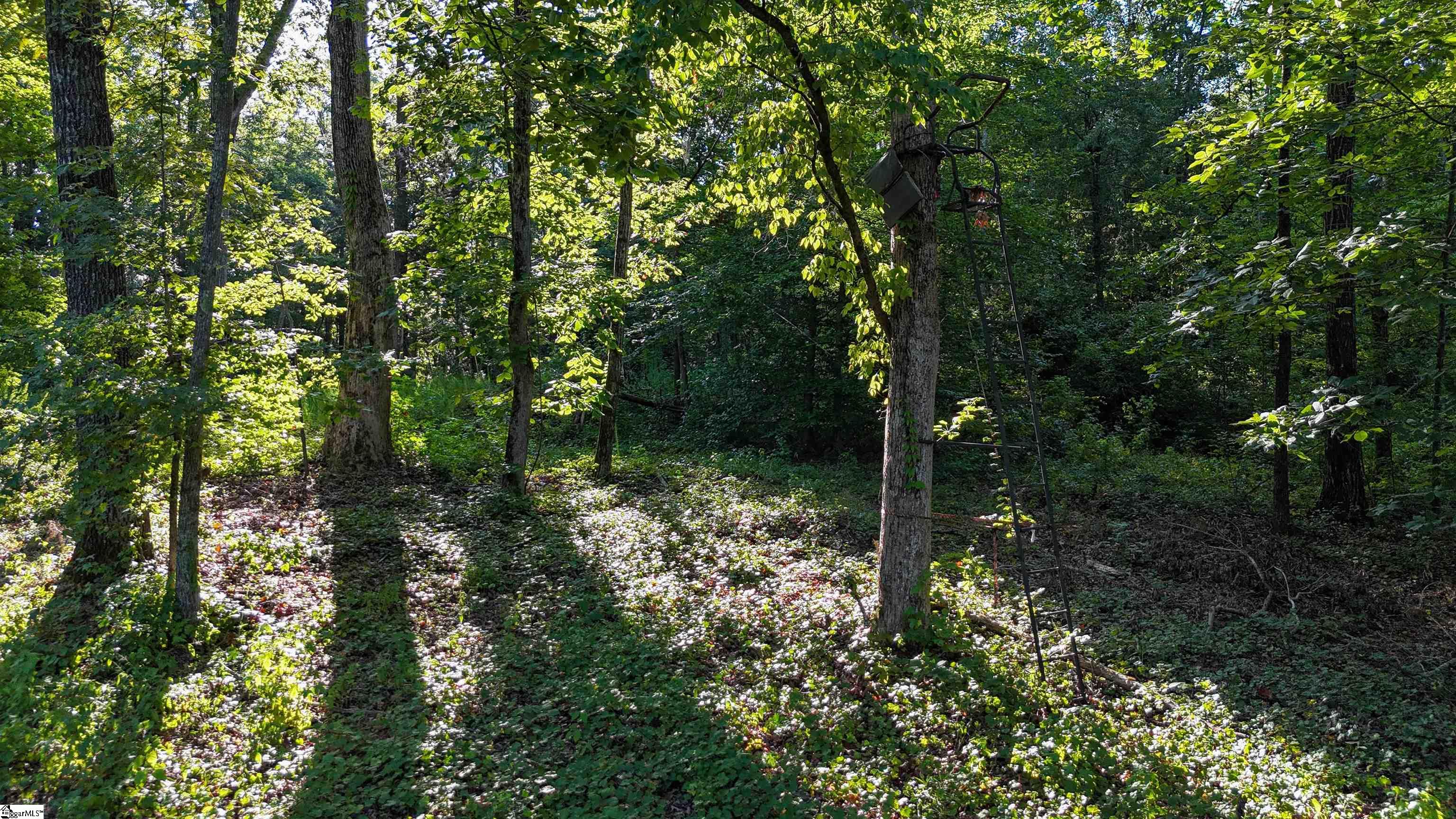 property viewer photo 16