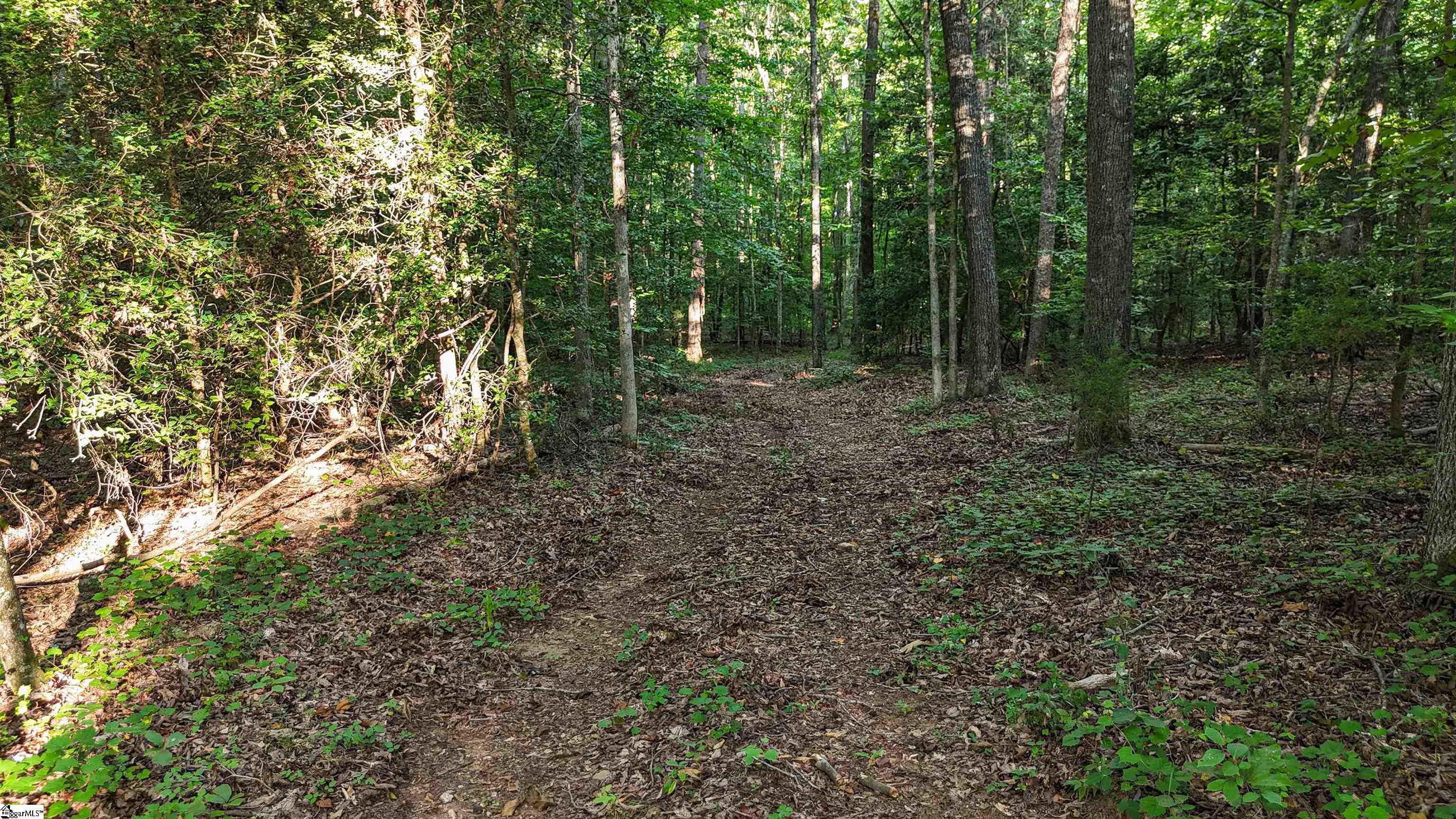property viewer photo 4