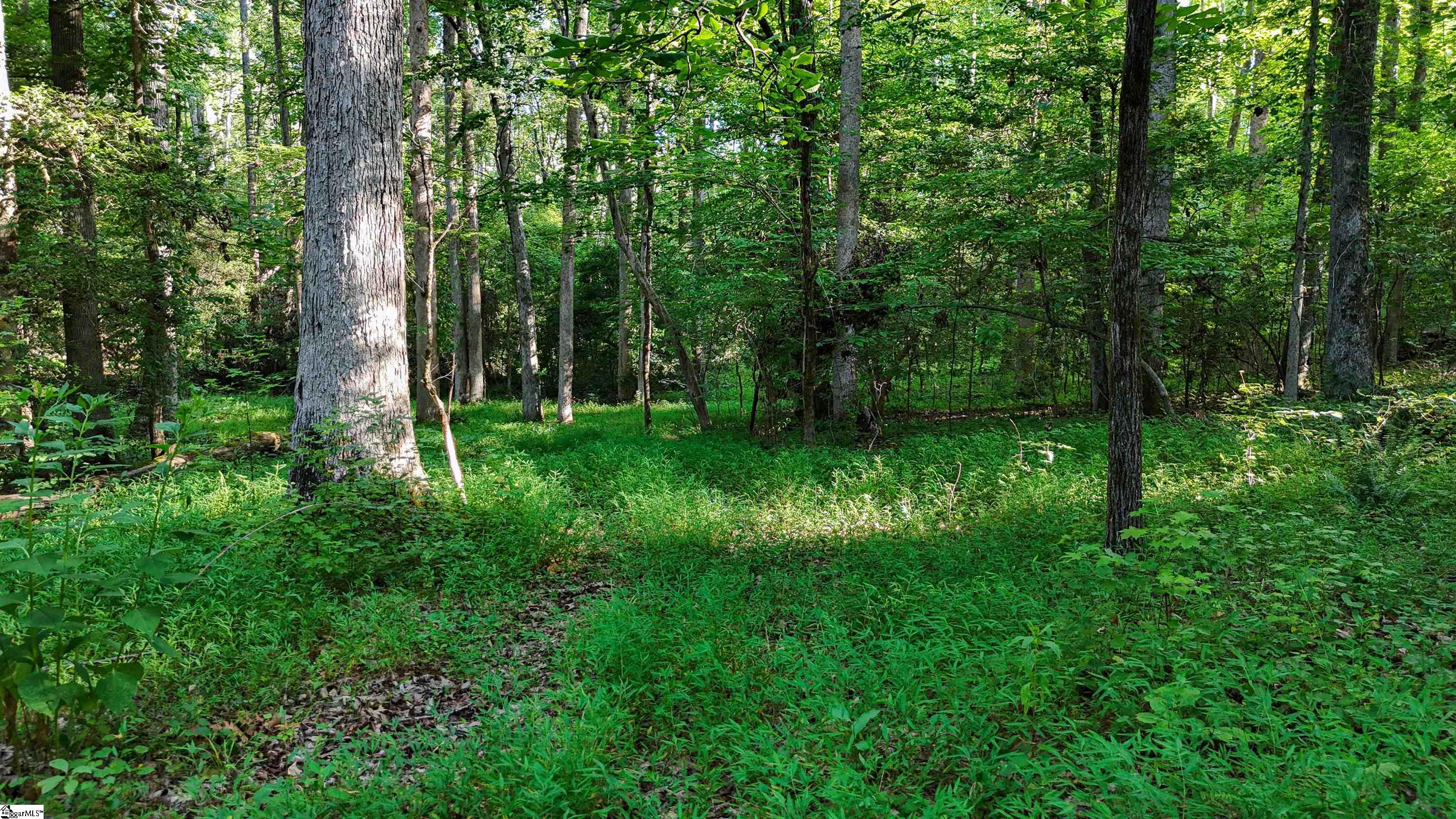 property viewer photo 8