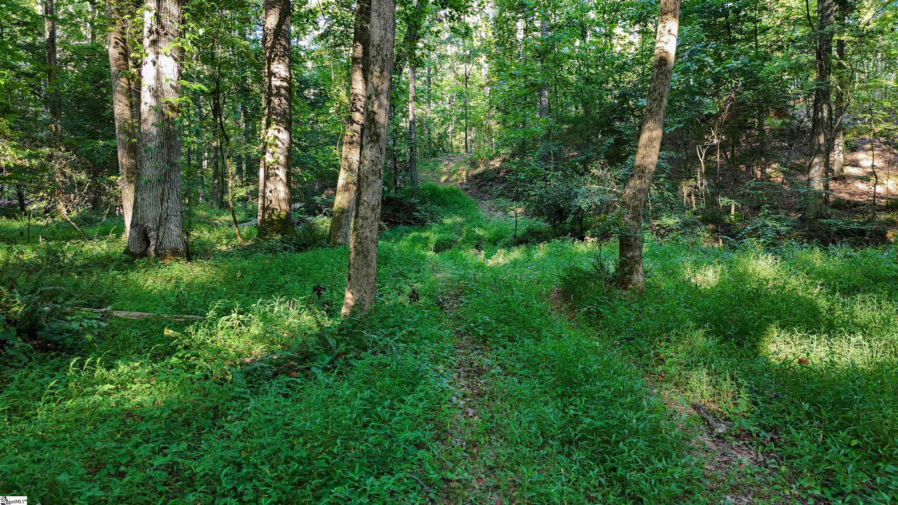 property viewer photo 9