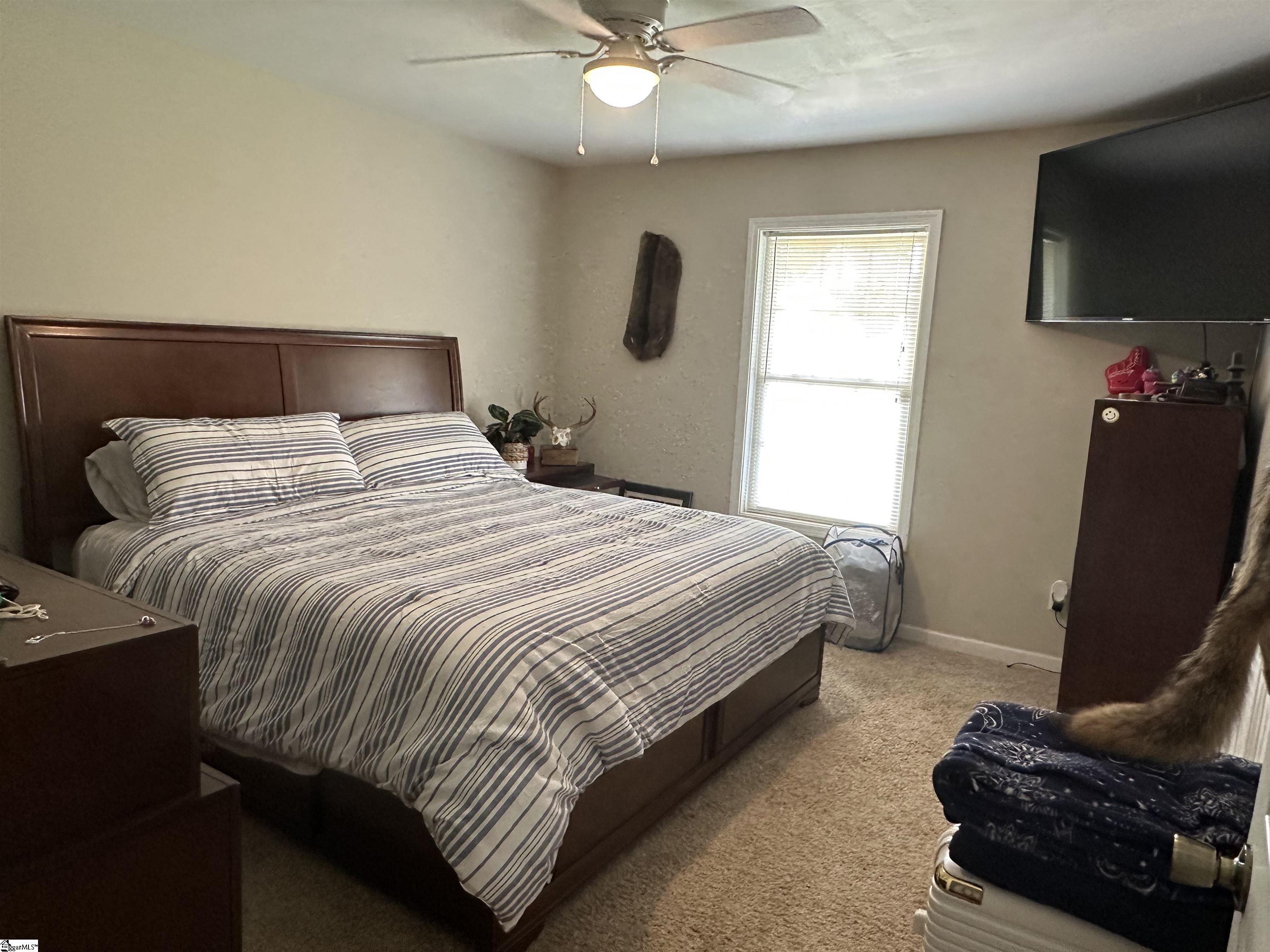 property viewer photo 5
