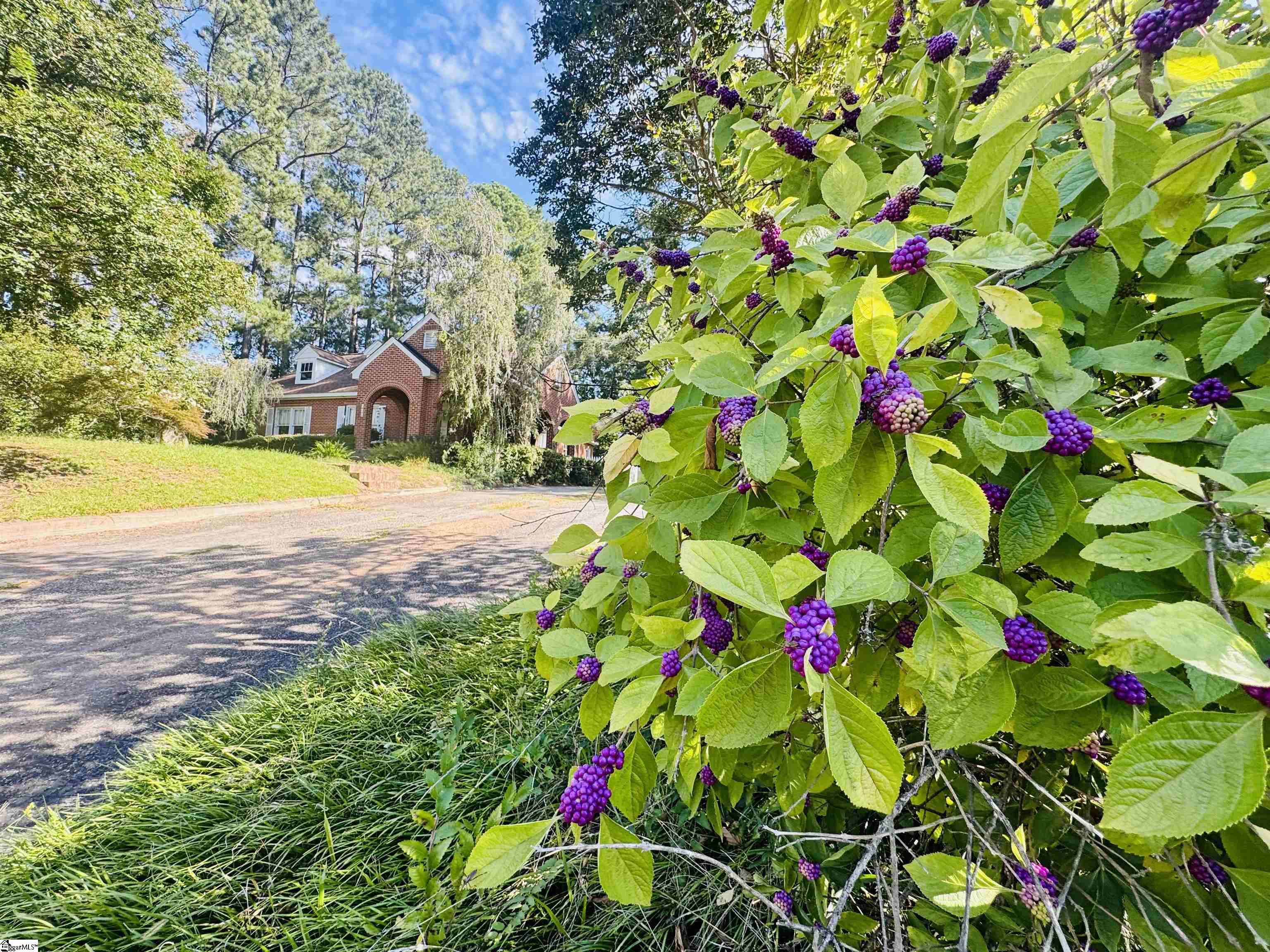 main property photo 44