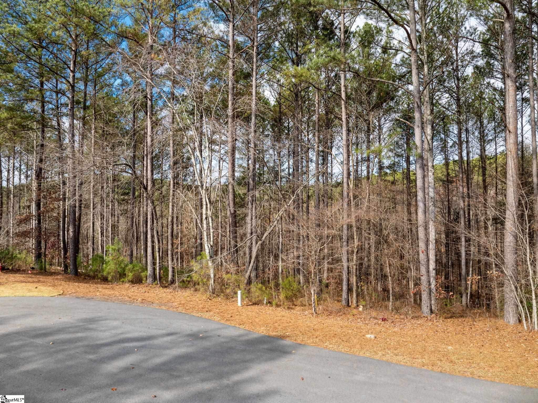 property viewer photo 1