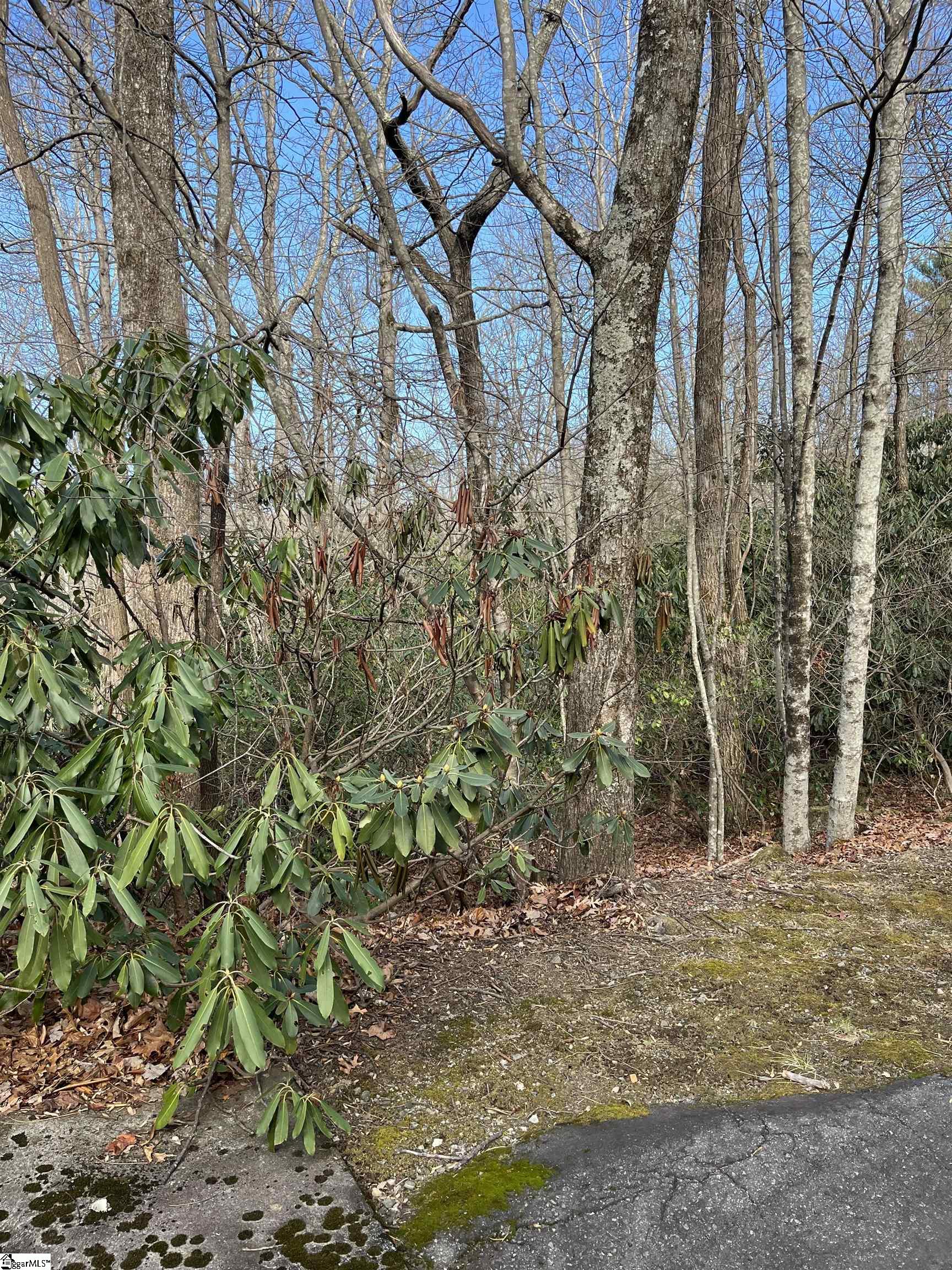 main property photo 0