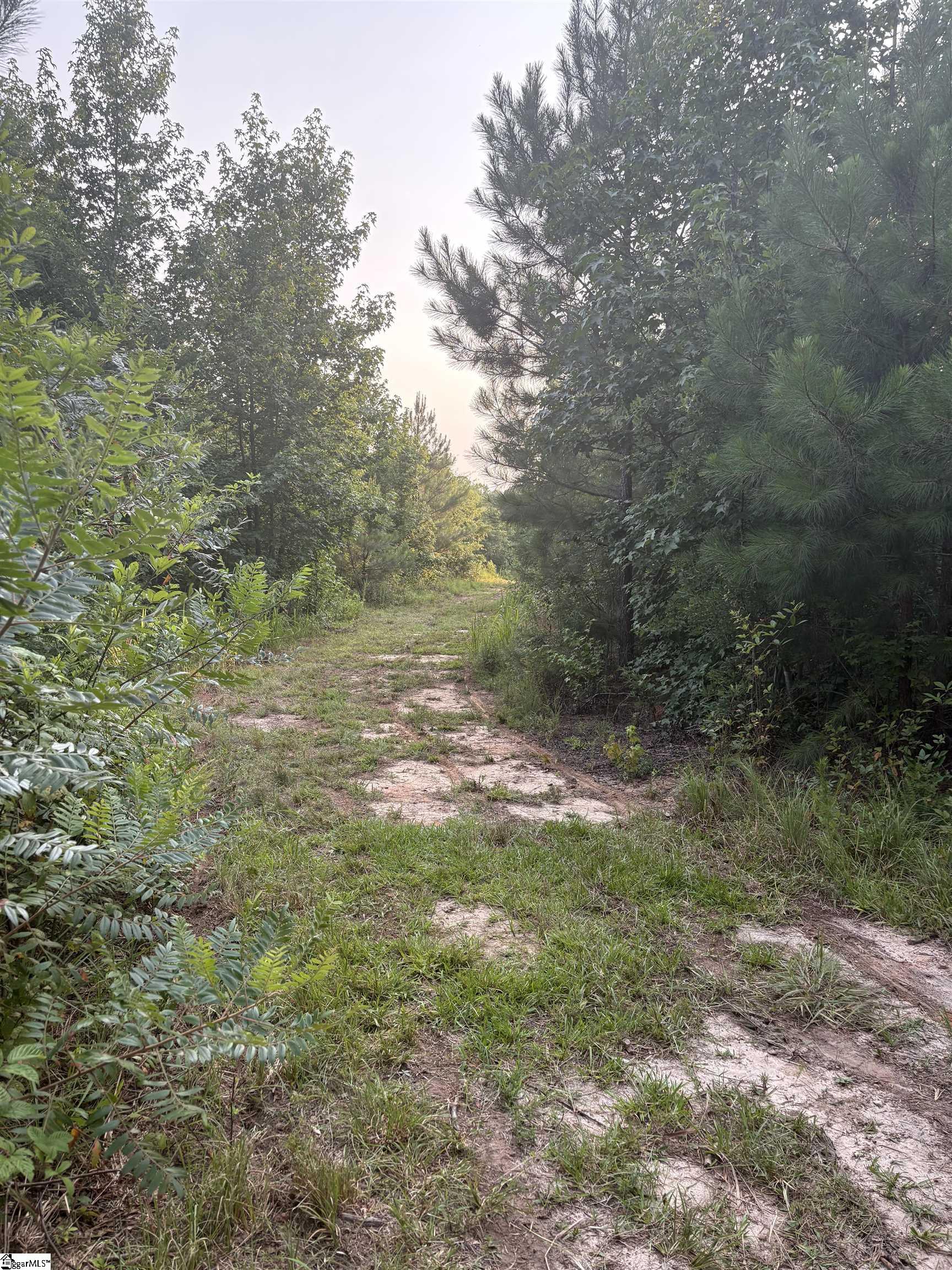 main property photo 49