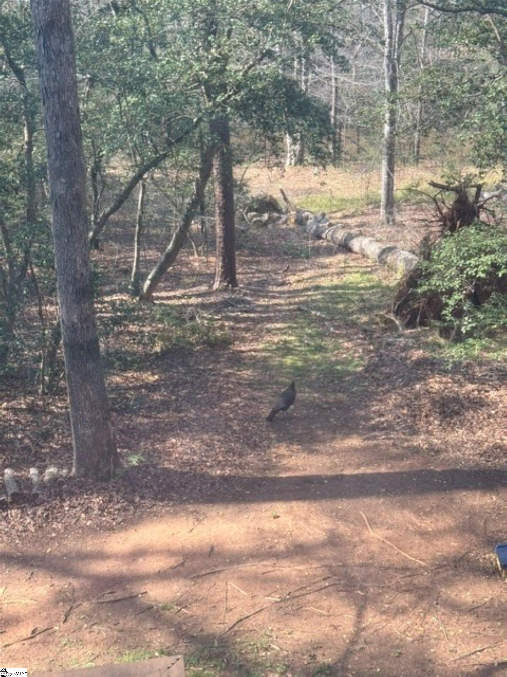 main property photo 48
