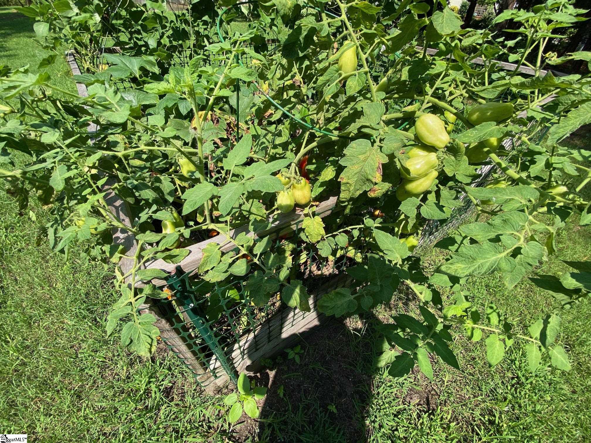 main property photo 32
