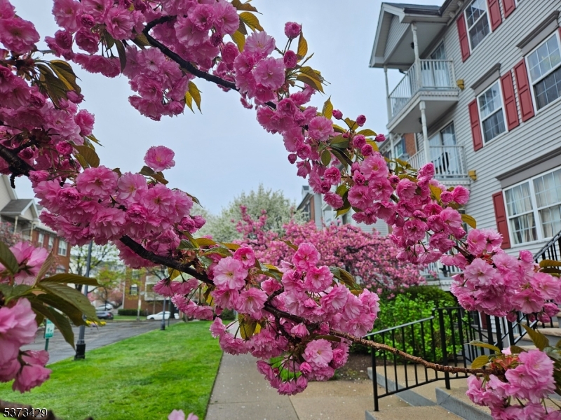 property viewer photo 16