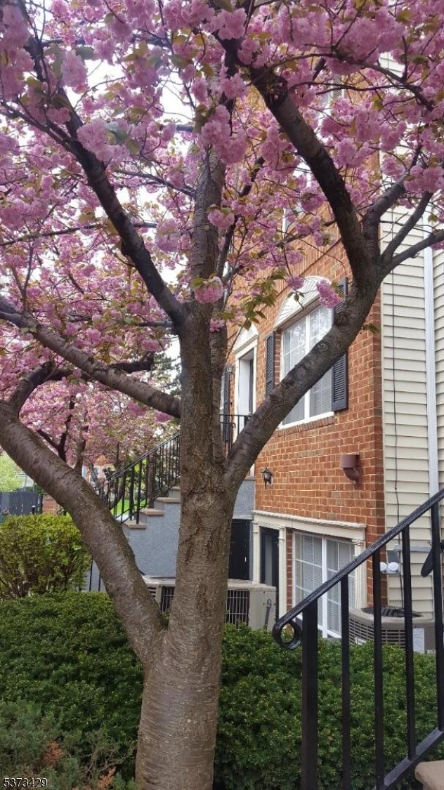 property viewer photo 17