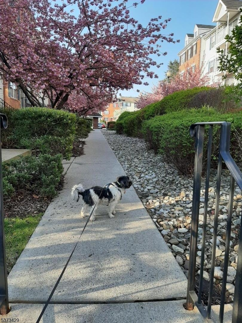 property viewer photo 19