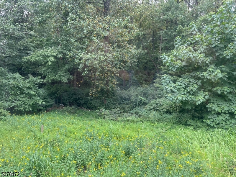 property viewer photo 14