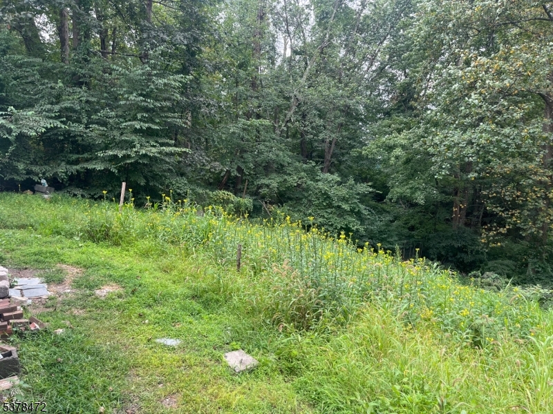 property viewer photo 15