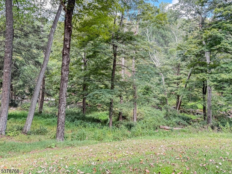 property viewer photo 45