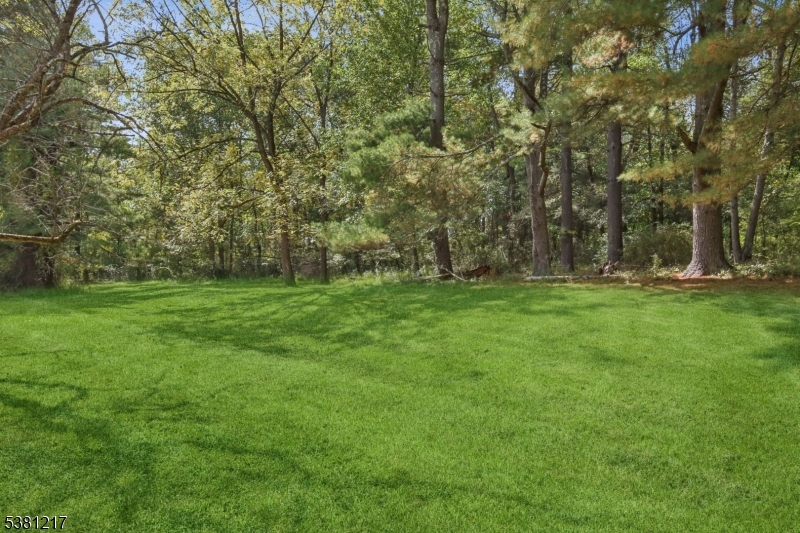 property viewer photo 32