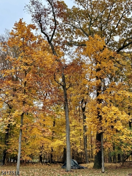 main property photo 49