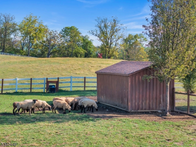 main property photo 48