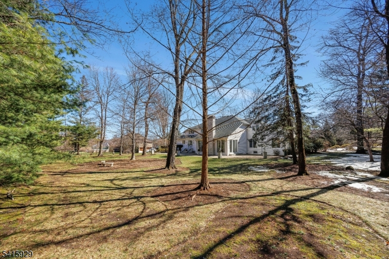 main property photo 40