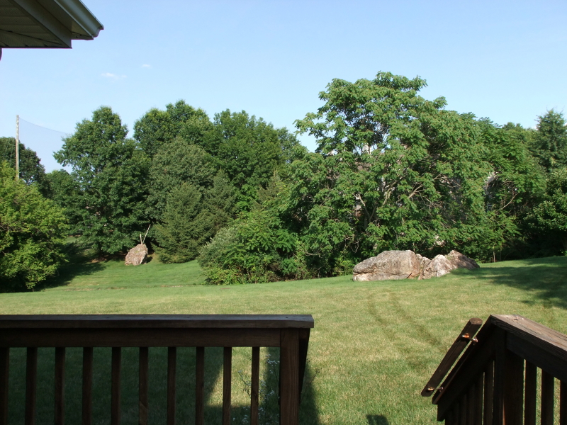 main property photo 21