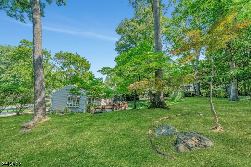 main property photo 42