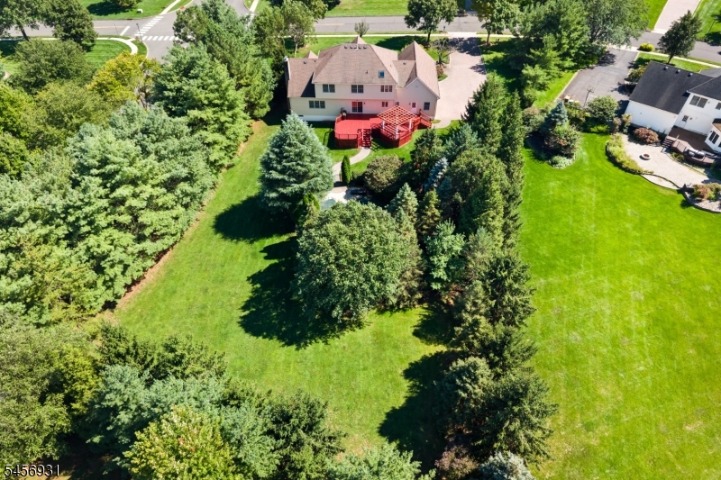 main property photo 42