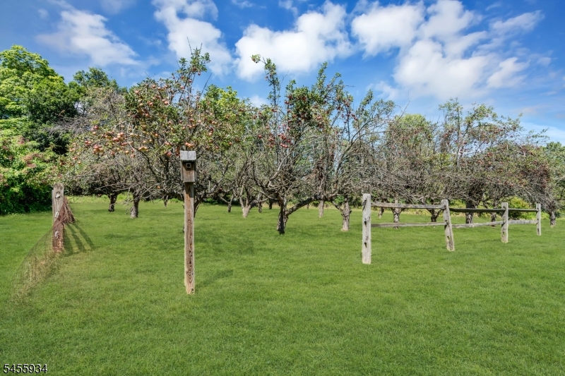 main property photo 44