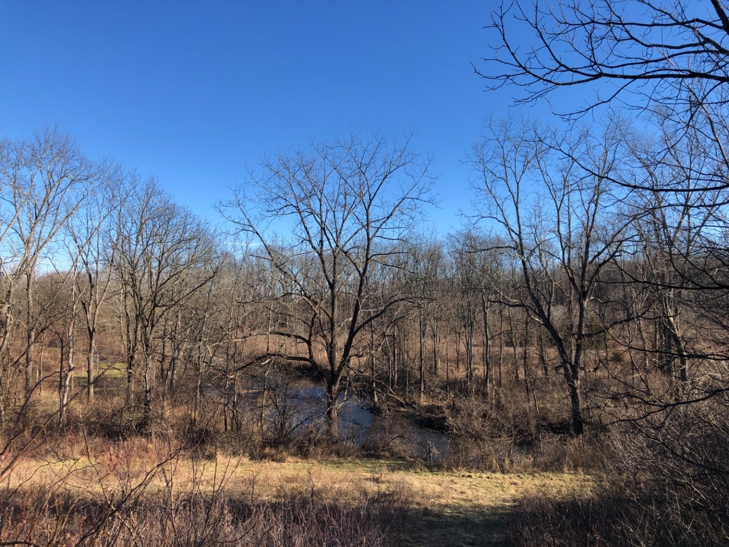 main property photo 7