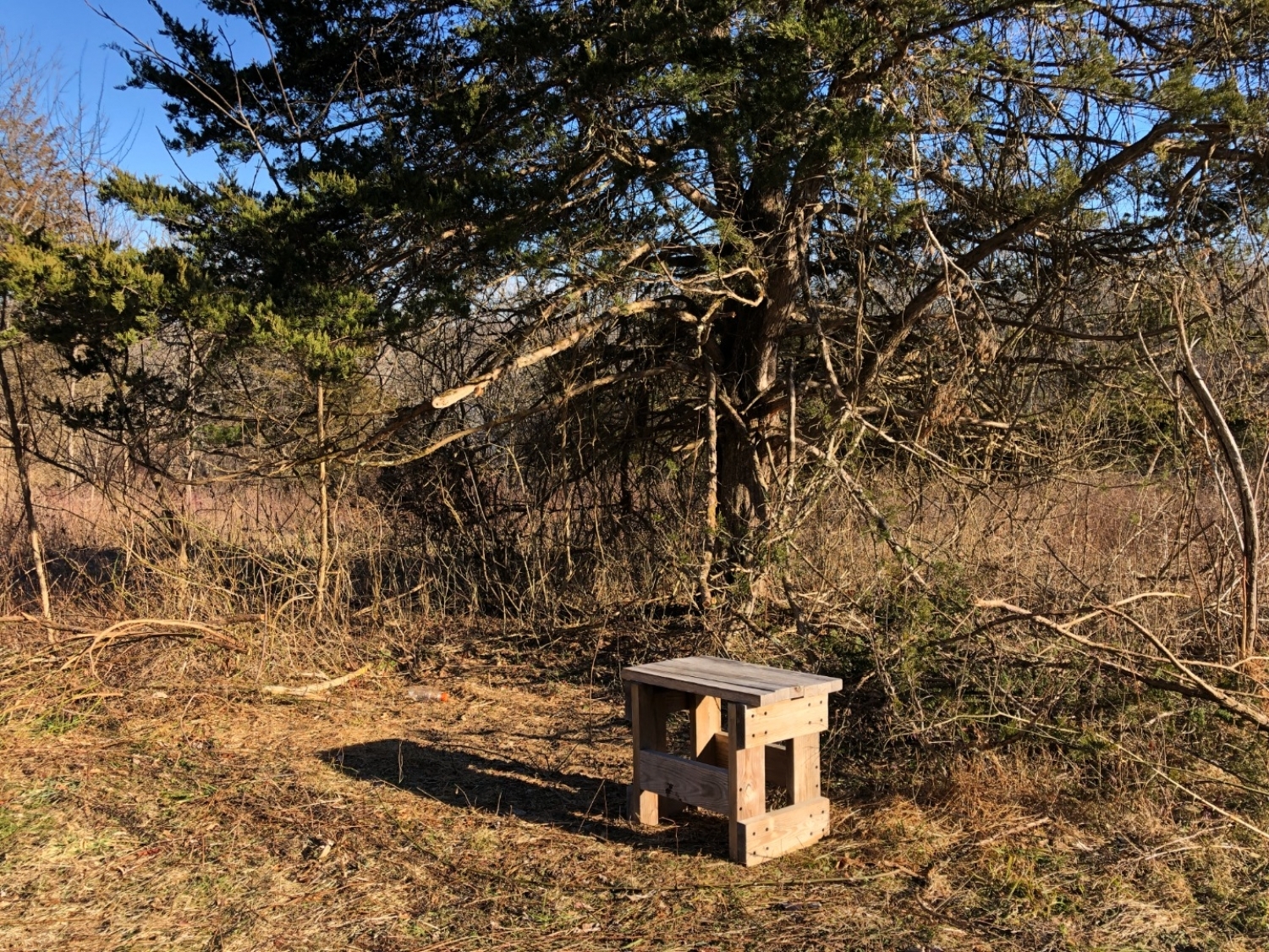 main property photo 8