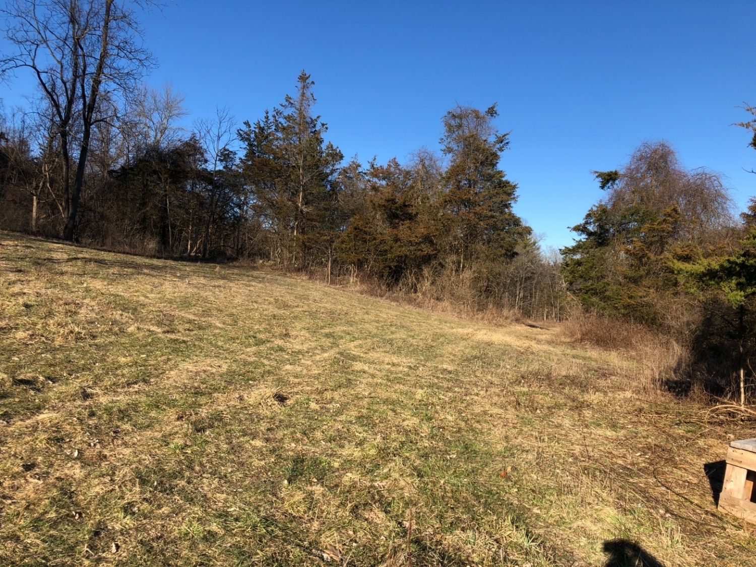 main property photo 9