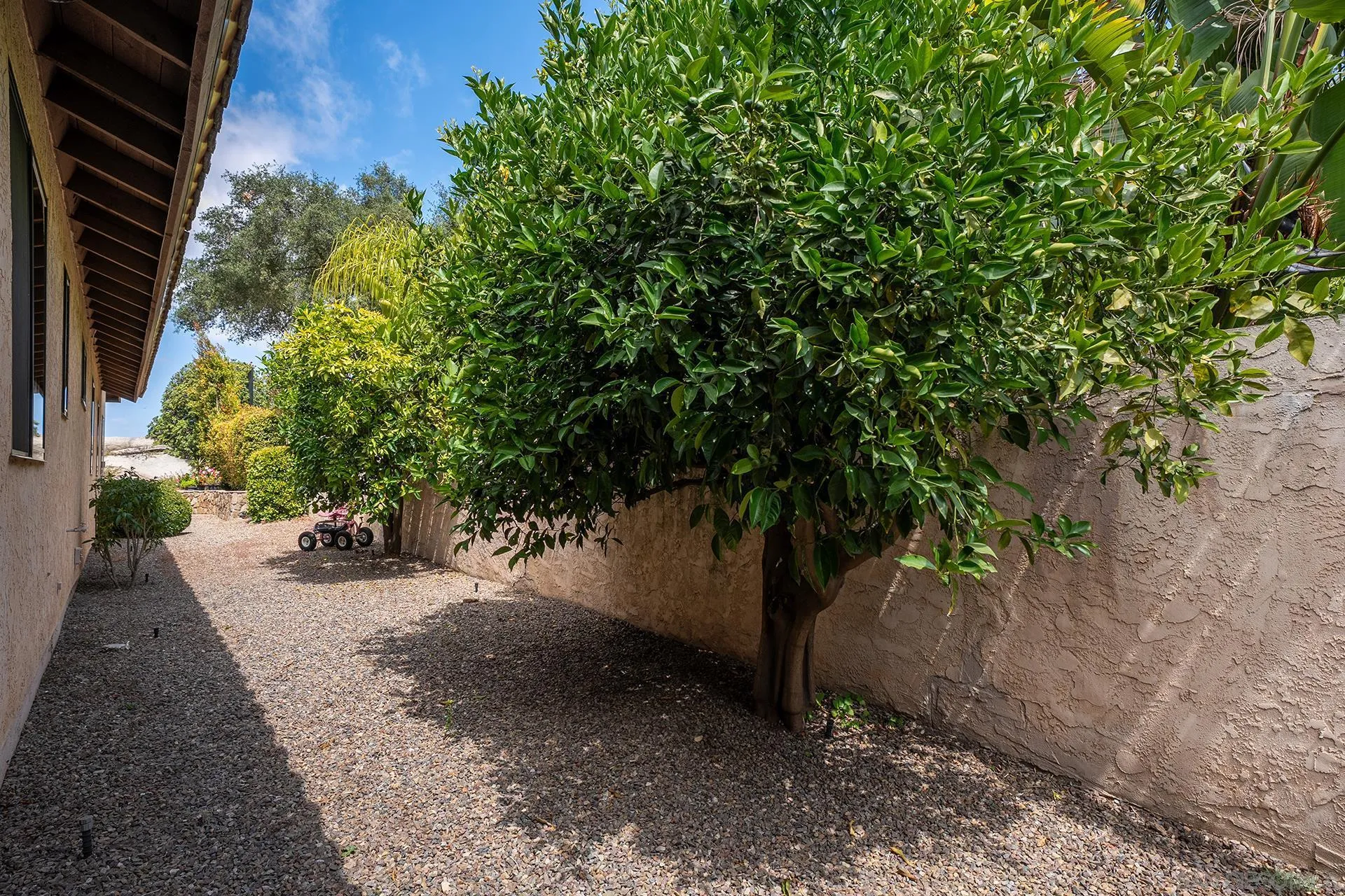 main property photo 54