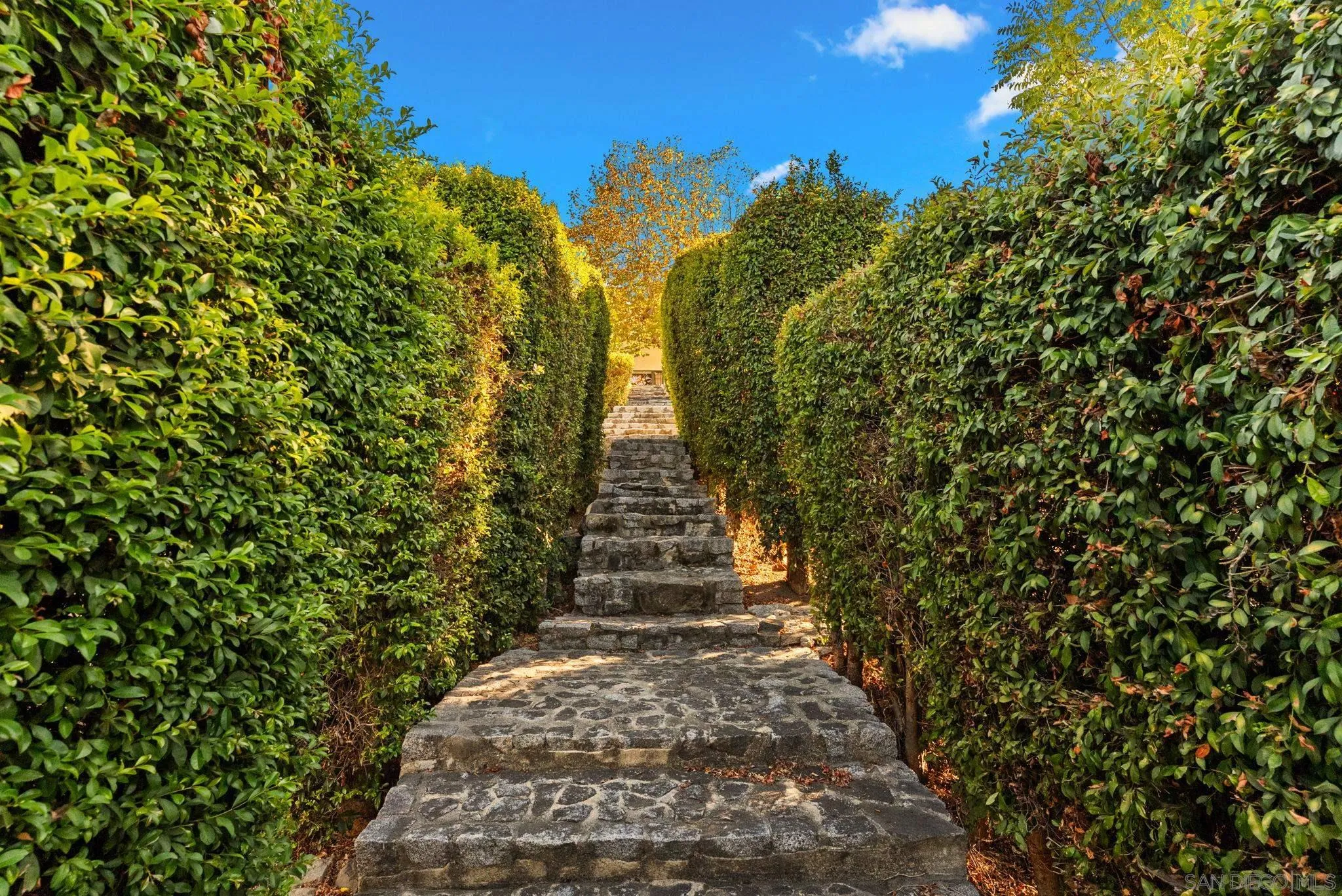 main property photo 61