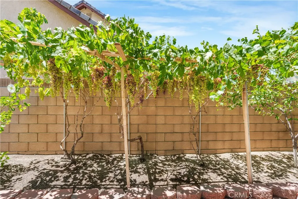 main property photo 61