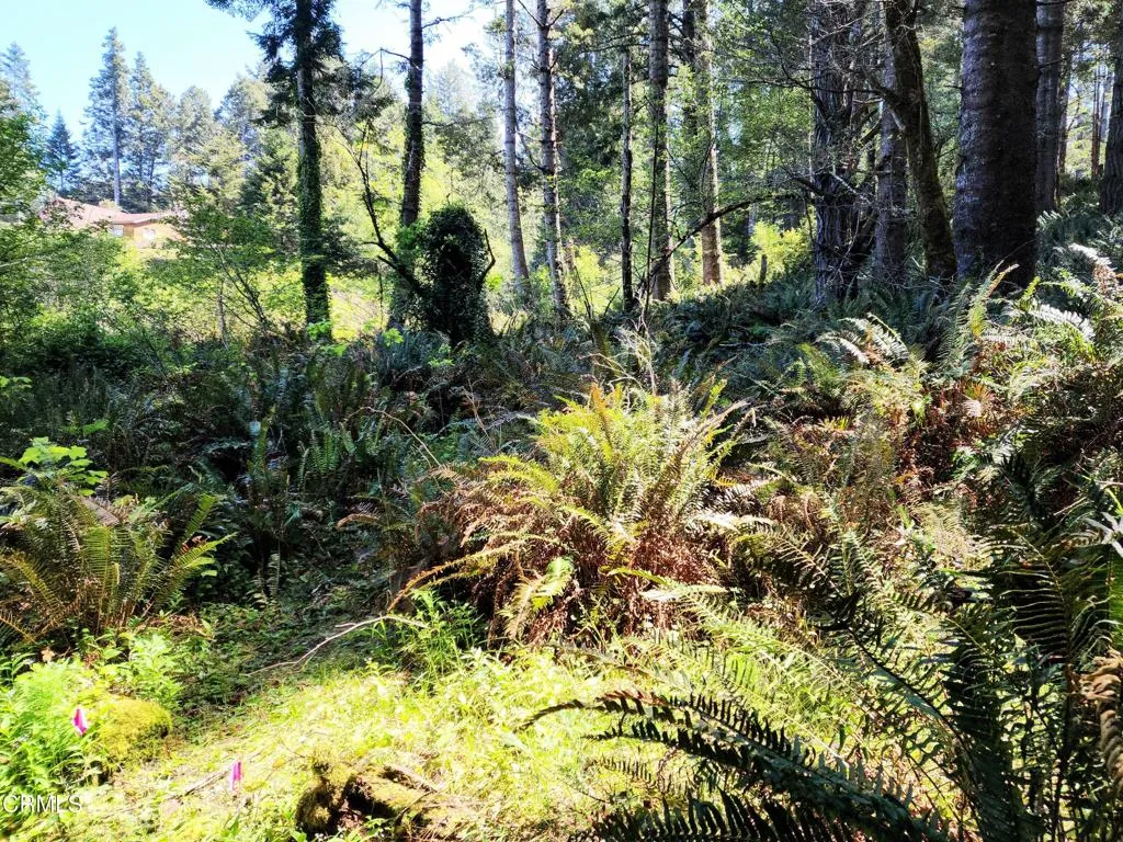 main property photo 12