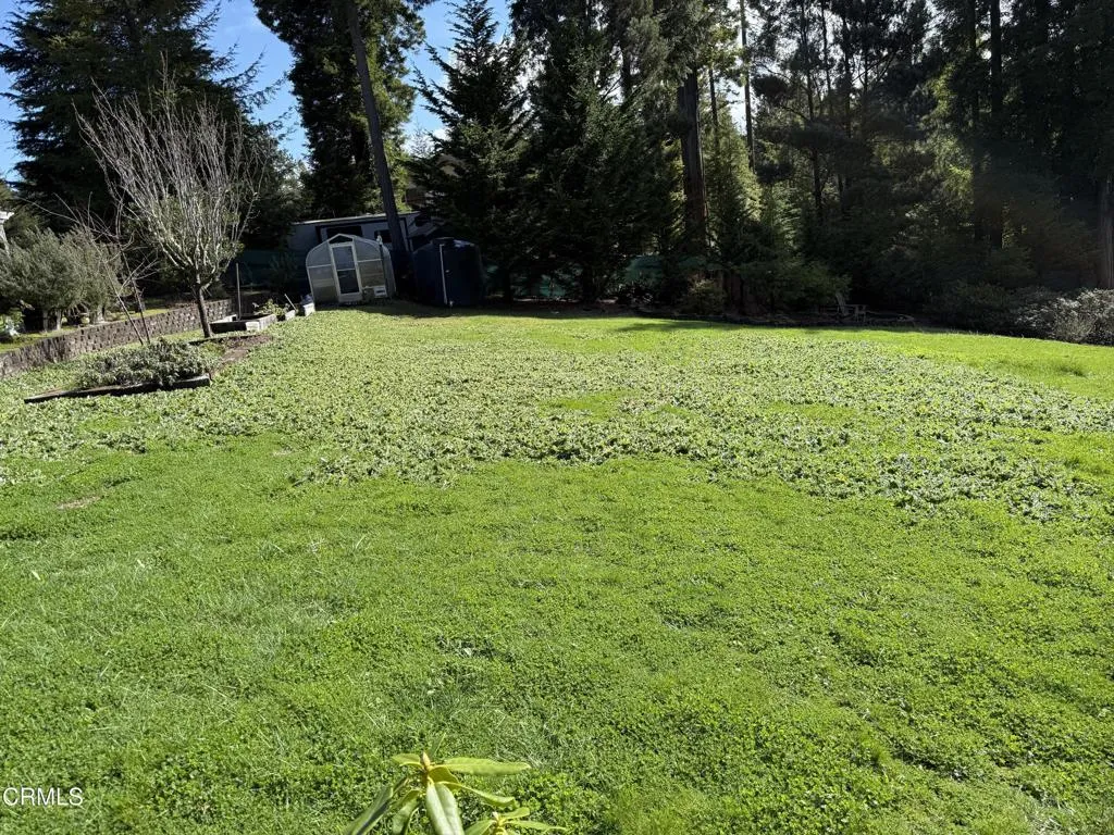 main property photo 43