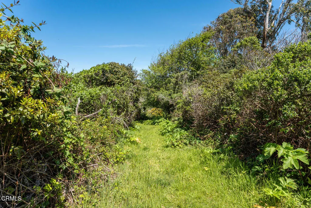 main property photo 42