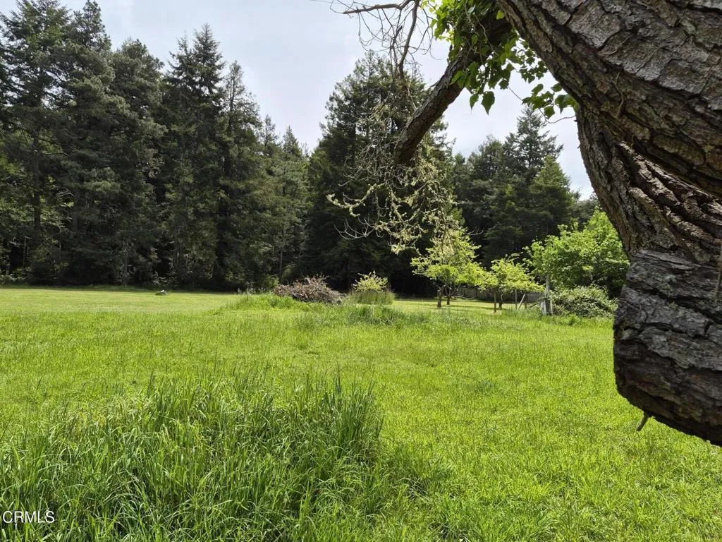 main property photo 11