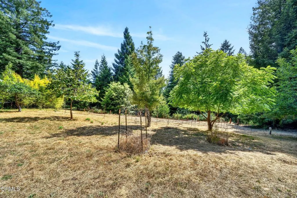 main property photo 41