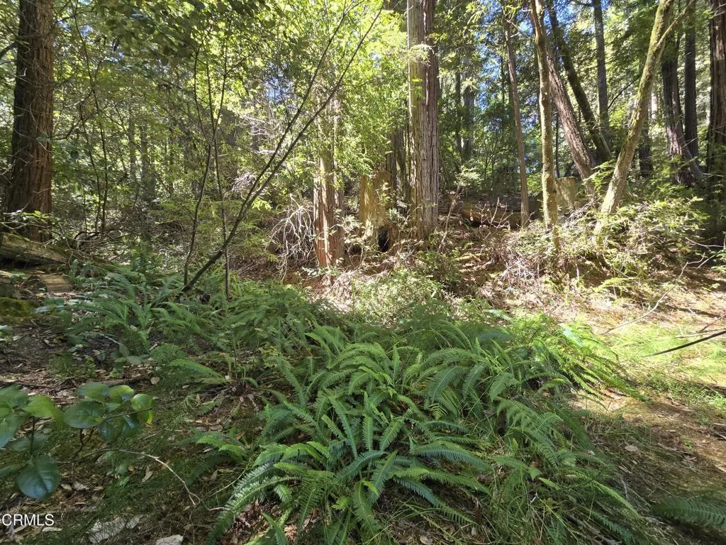 main property photo 14