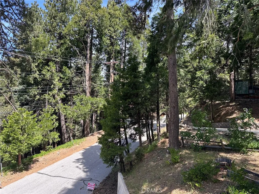 main property photo 41