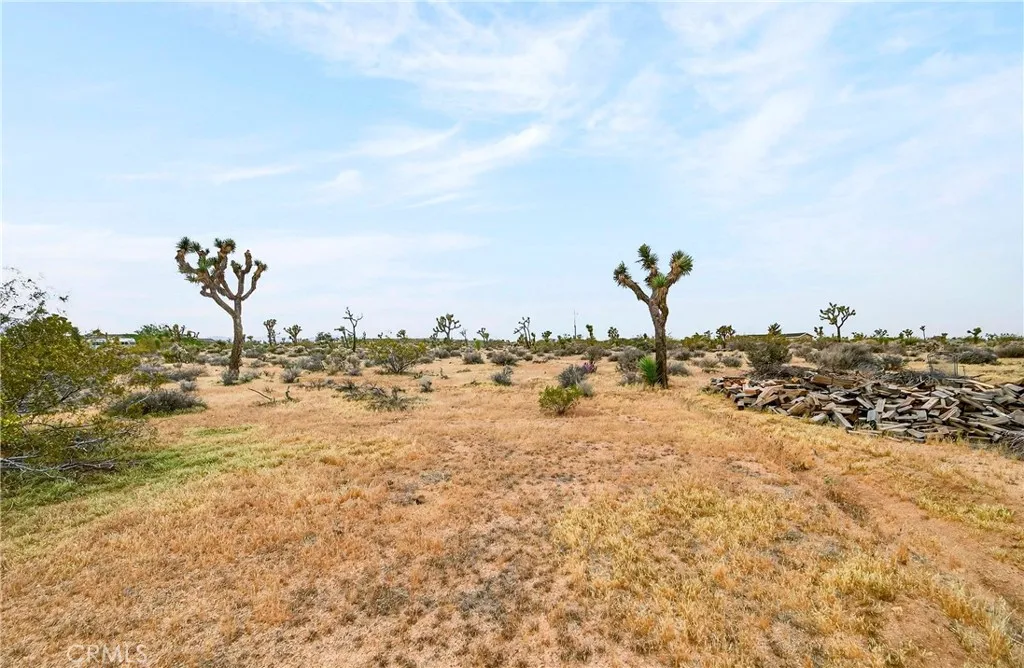 main property photo 37