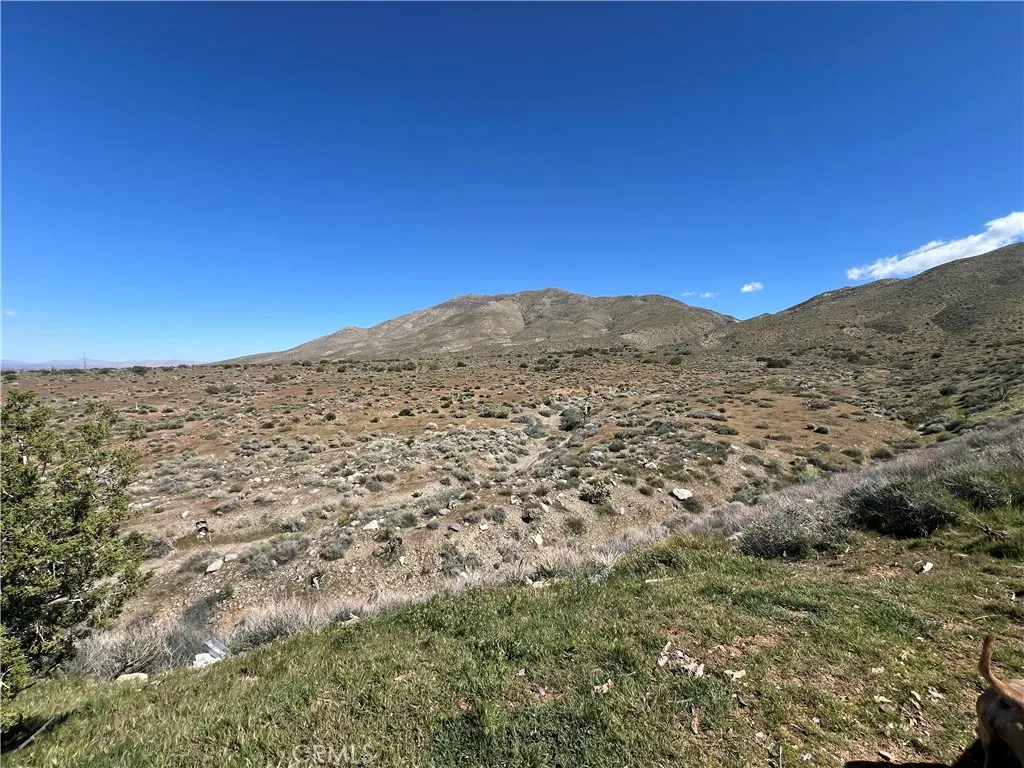 main property photo 4
