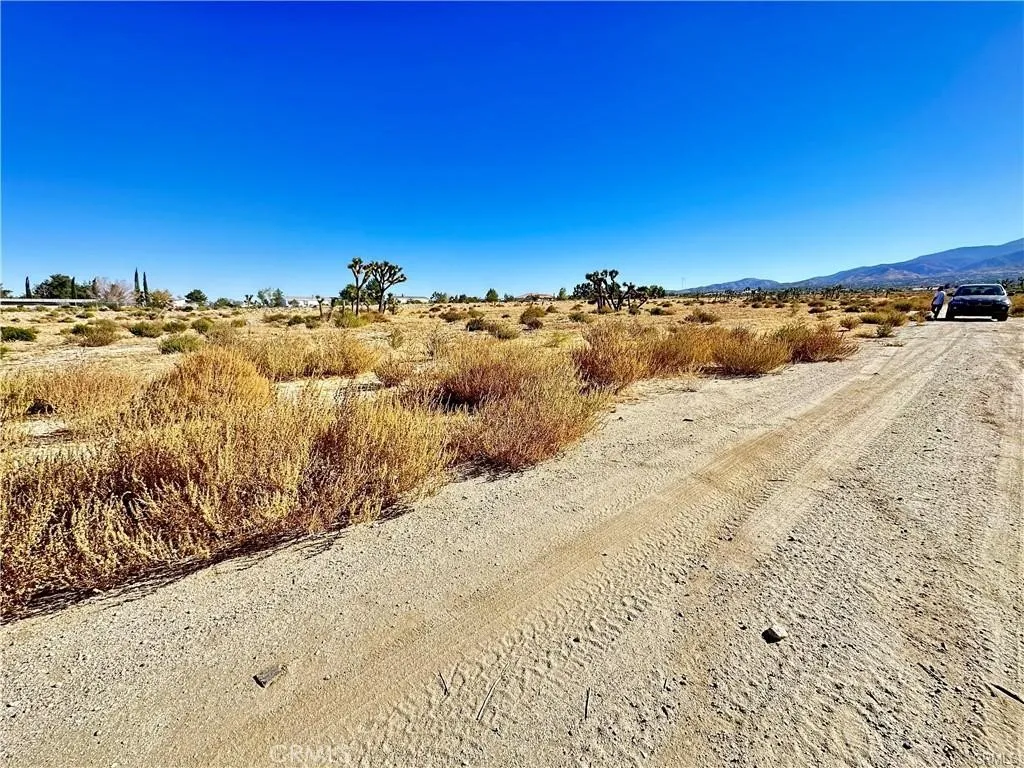 main property photo 5