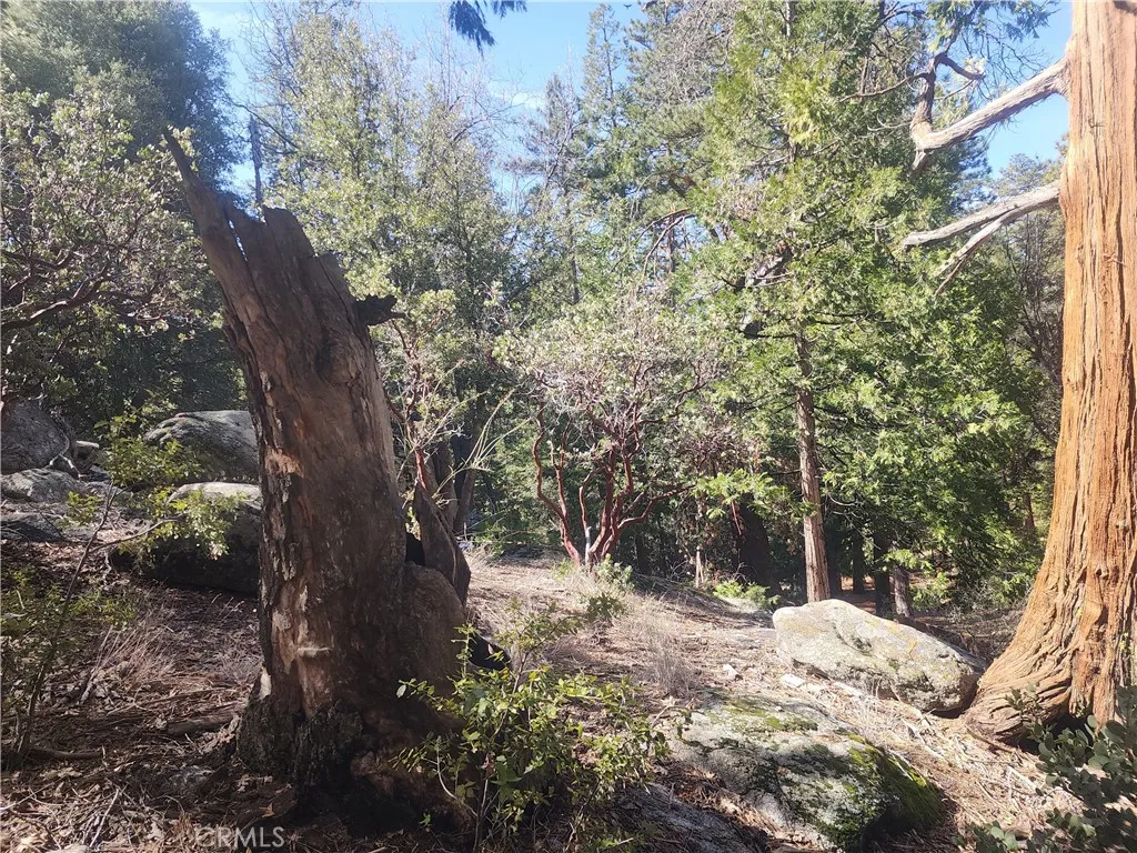 main property photo 11