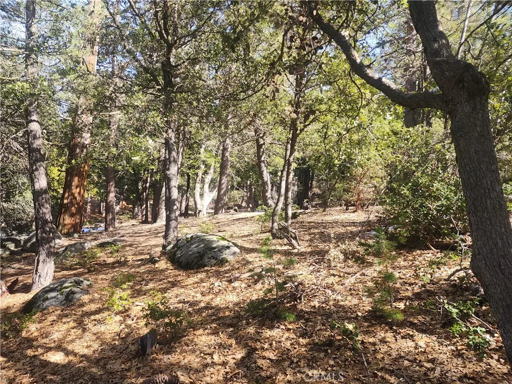 main property photo 17